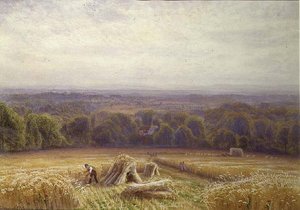 Raccolta da Edmund George Warren