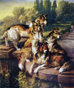 Collie da Edmund Henry Osthaus