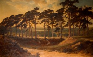 Harrow dal primo, Hampstead Heath, 1875 da Edmund John Niemann