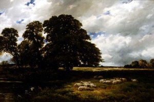 Paesaggio con pecore da Edmund Morison Wimperis