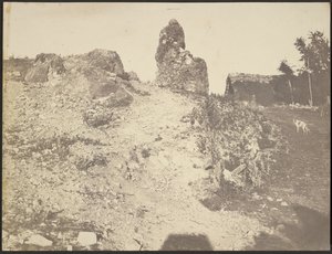 [Paesaggio roccioso] da Édouard Baldus