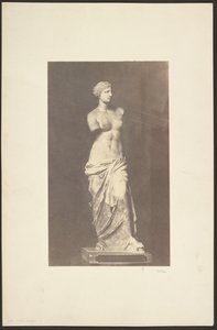 [Venere di Milo]