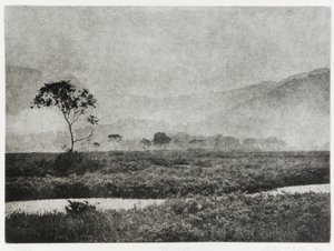 Nebbia a Oze, 1993
