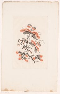 Fiori e boccioli (Fleurs Idéalle)