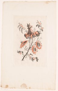 Fiori a forma di parasole