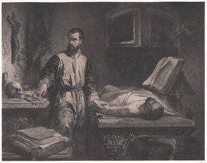 Andrea Vesalio da Edouard Jean Conrad (after) Hamman