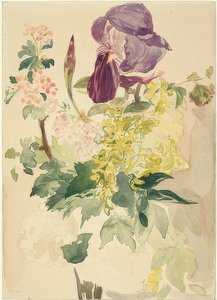 Composizione floreale con iris, laburno e geranio da Édouard Manet