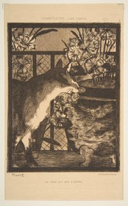 Gatto e fiori. Illustrazione per I gatti di Champfleury, 1869