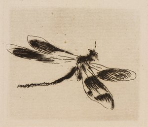 Libellula, tavola 1 da Le Fleuve
