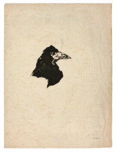 Testa di un corvo in profilo, da Il Corvo (Le Corbeau) da Édouard Manet