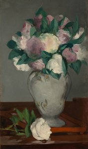 Peonie