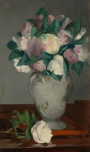 Peonie, 1864-65
