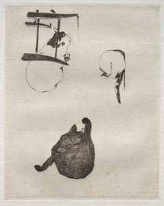 I gatti, 1868-1869