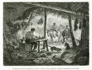 Un laboratorio di tassidermia nella foresta vergine, nella regione dei Llanos (Colombia), disegno di Riou, per illustrare la storia dell