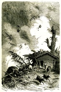 Valanga nelle Alpi da Edouard Riou
