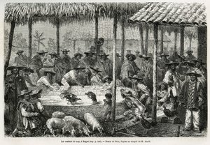 Combattimento di galli e animazione di strada a Ibague (Colombia), disegno di Riou, per illustrare la storia dell