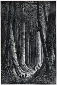 Foresta della Guyana francese, disegno di Riou, Le Tour du Monde, 2° sem. 1879
