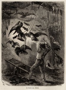 Caccia ai gufi rifugiati nella chiesa di Sarayacu (Perù), disegno di Riou, per illustrare il viaggio di Paul Marcoy dall