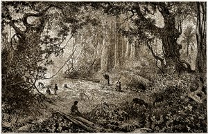 Installazione di un campo di esploratori in Guatemala (1882) da Edouard Riou