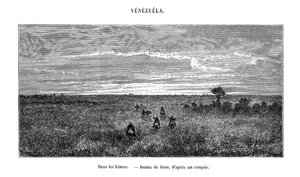 Los Llanos, Venezuela, XIX secolo