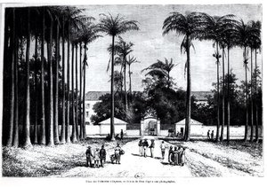 Place des Palmistes, Cayenne, Guyana