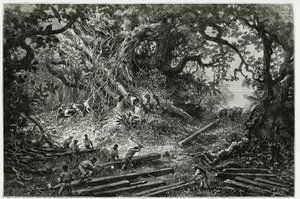 Lo sfruttamento del mogano nelle foreste delle Ande. Incisione di Riou, per illustrare la storia 