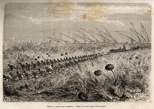 Il traino di un piroscafo attraverso le zattere di vegetazione che invadono il canale cavo per lasciare una palude, inciso da un disegno di E.Riou, illustrante una spedizione armata in Africa Centrale, per la soppressione del commercio nero da Edouard Riou