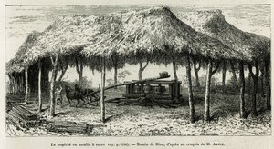Il trapiche, o mulino da zucchero per macinare le canne a Panche (Colombia), disegno di Riou, per illustrare la storia dell