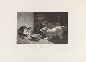 Gatto che soffia e tre cani che abbaiano vicino a un piatto da Edouard Taurel