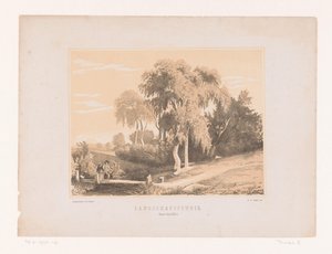 Studio di paesaggio da Edouard Taurel