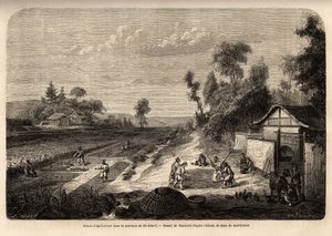 Scene di agricoltura nella stagione del raccolto, nella provincia di Pe-Tche-Li da Edouard Vaumort