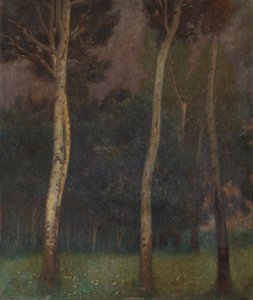 Paesaggio alberato della Bassa Austria
