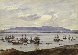 Panorama di Rio de Janeiro da Eduard Hildebrandt