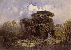  da Eduard Hildebrandt