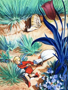 La storia di Pollicino