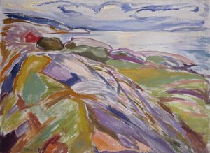 Paesaggio costiero a Hvitsten
