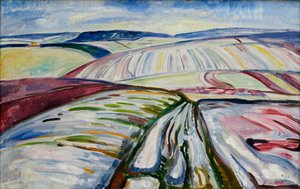 Campo nella Neve