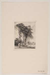 Paesaggio. Mucche vicino a un bosco da Edvard Petersen