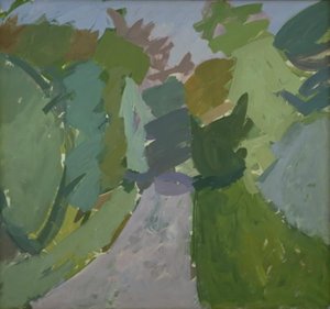 Una Strada nella Foresta