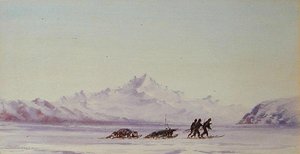 Scena artica