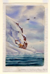 Capo Wadsworth, Isola Coulman da Edward Adrian Wilson