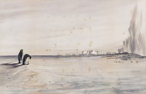 La colonia di pinguini imperatore, Capo Crozier