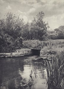 Un piccolo trasportatore sul Ramsbury Water