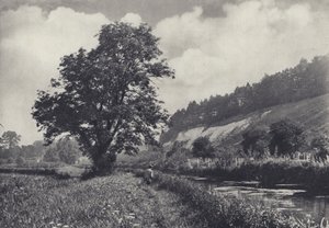 Il grande frassino sul trasportatore principale, Leckford da Edward Alfred Barton
