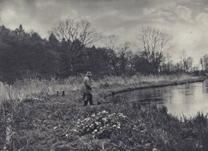 I primi ranuncoli di primavera da Edward Alfred Barton