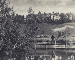 Tumbling Bay, Su un trasportatore del Test sotto Fullerton da Edward Alfred Barton