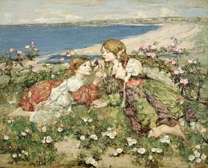 Rose sulla riva del mare
