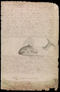 Tavola dal diario di Edward Barlow sulla sua vita in mare su navi del re, East & West Indiamen e altri mercantili dal 1659 al 1703 da Edward Barlow