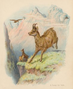 Un salto per la vita da Edward Brice Montefiore