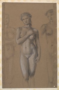 Nudo femminile - Tre studi, possibilmente per Venere